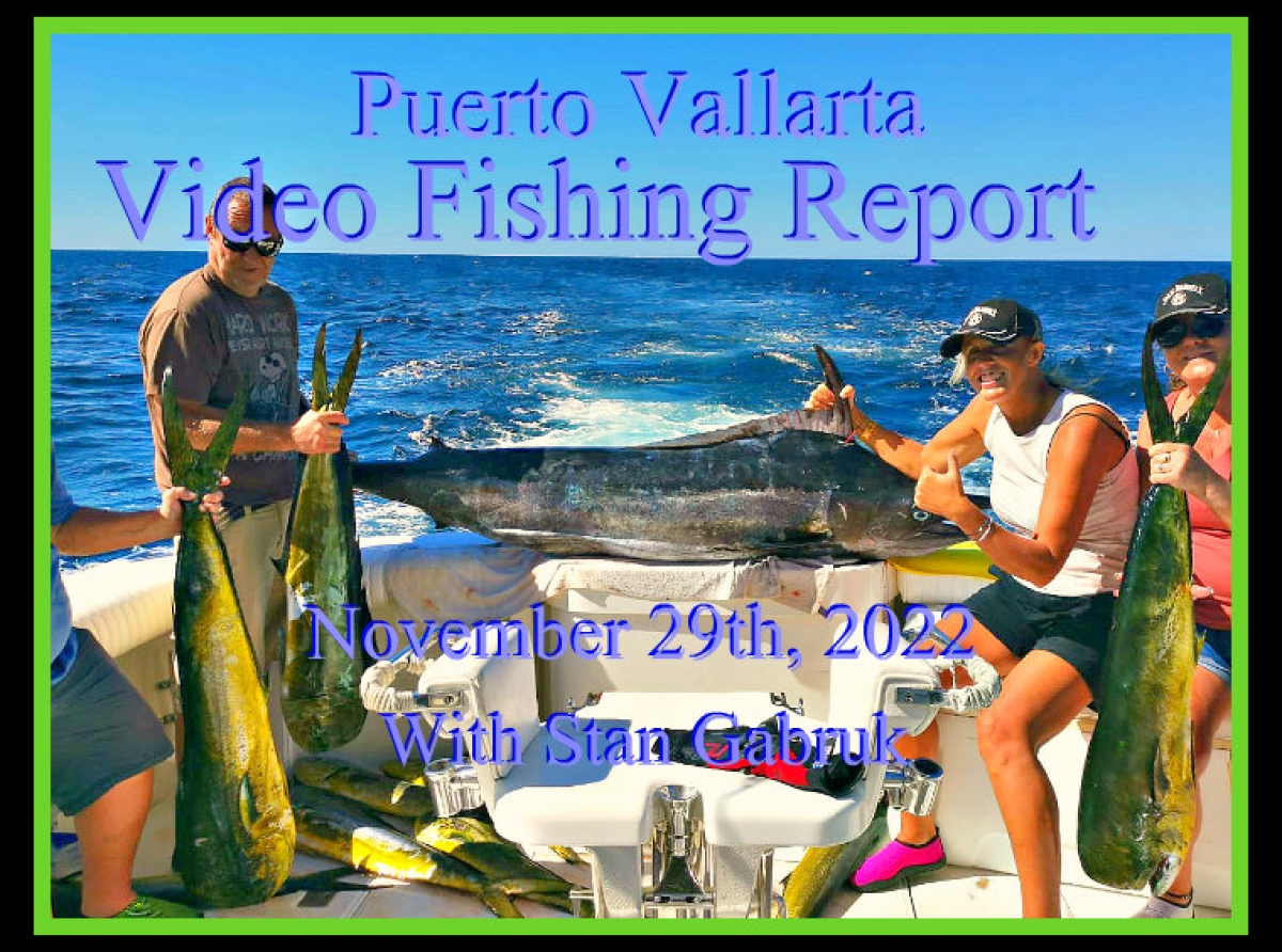 11/29/22 Video Fishing Report
